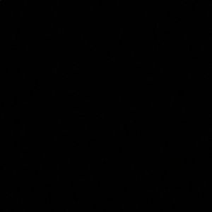 Meet your Posher, Isabella